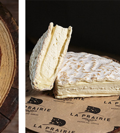 Fromages à pâte molle et à croûte fleurie 