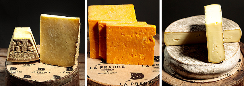 Fromages à pâte pressée non cuite 