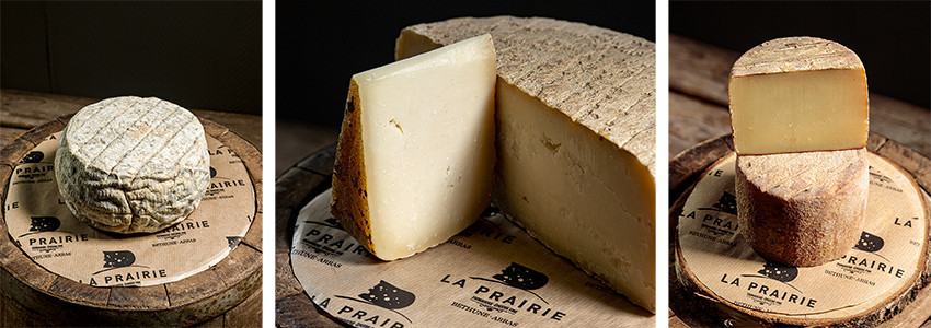 Fromages de brebis