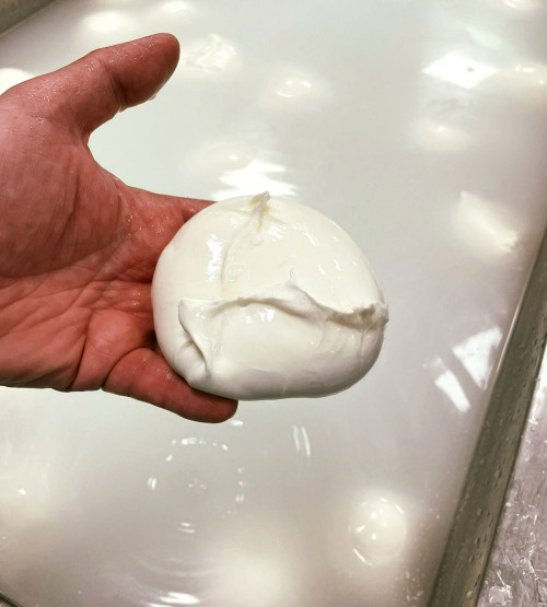 Les Mozzarellas et Burratas