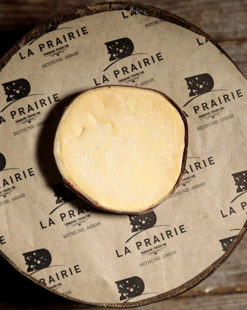Epive du Jura
