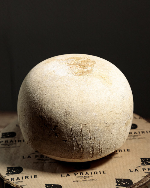 Mimolette Francaise 1/2 vieille 12 mois 