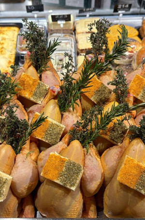 Coquelet Jaune des Landes 