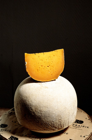 Mimolette jeune fromagerie La Prairie Arras