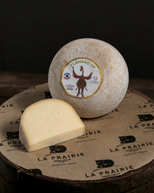 Flamand d'Or 