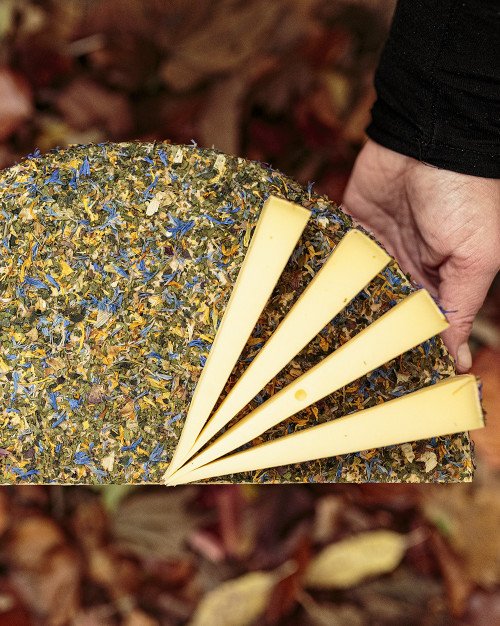 Tomme Autrichienne aux fleurs sauvages